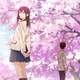 Illustration for article titled Shallow, manipulative and disappointing: How iI Want to Eat Your Pancreas/i fails as an examination of illness and grief.